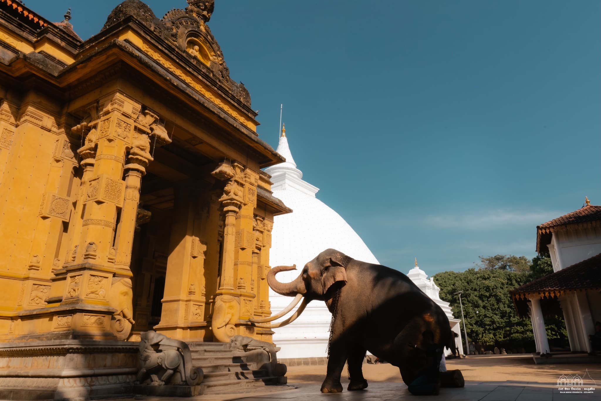 Historic Raja Maha Viharaya