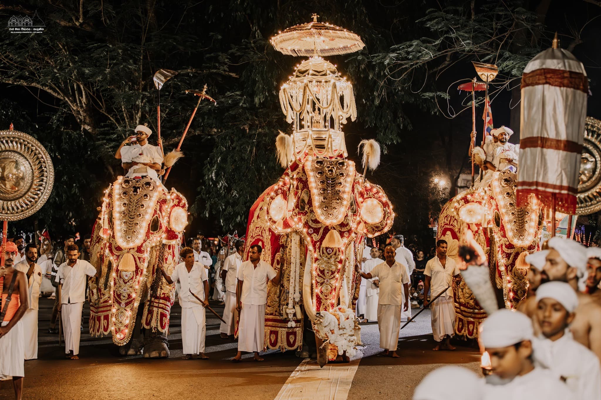 Kandula the Sacred Tusker