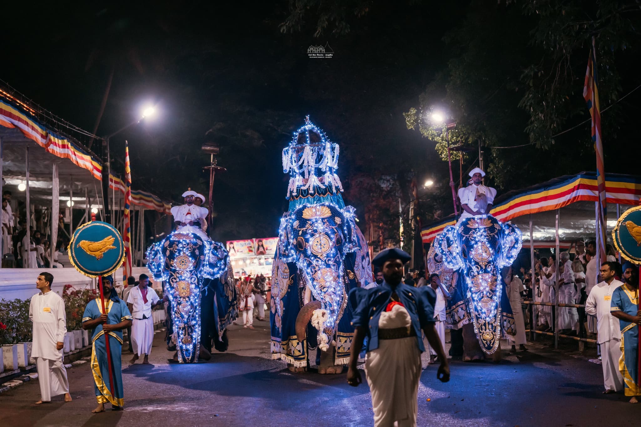 Decorated elephants in the Kelaniya Duruthu perahara